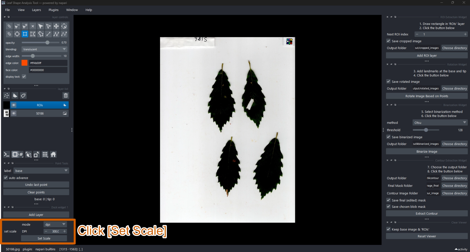 Set scale (dpi mode)